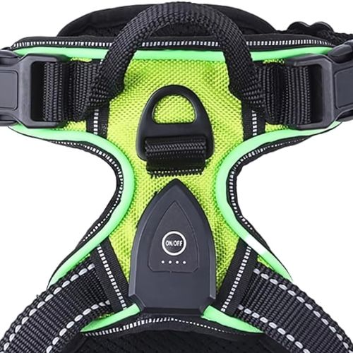 PawGear LED Ljus -Lysande hundsele