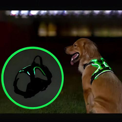 PawGear LED Ljus -Lysande hundsele