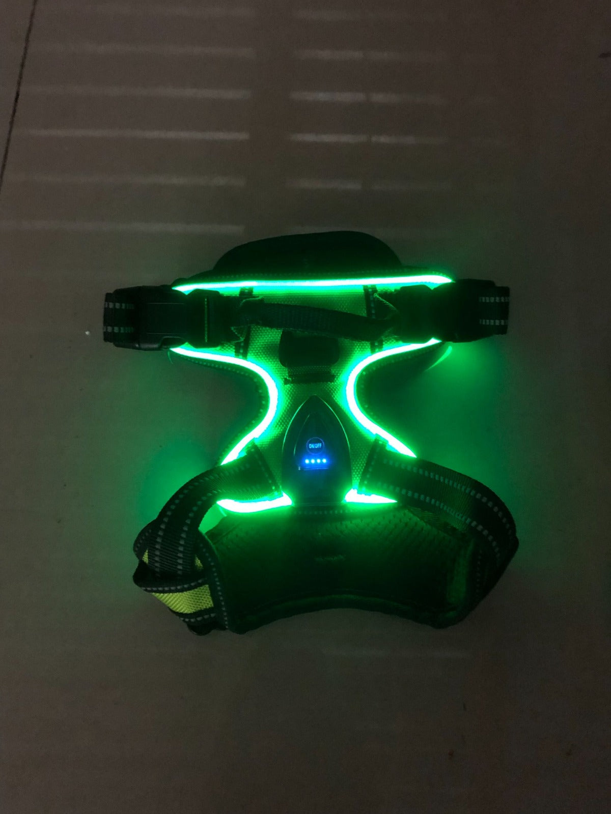 PawGear LED Ljus -Lysande hundsele