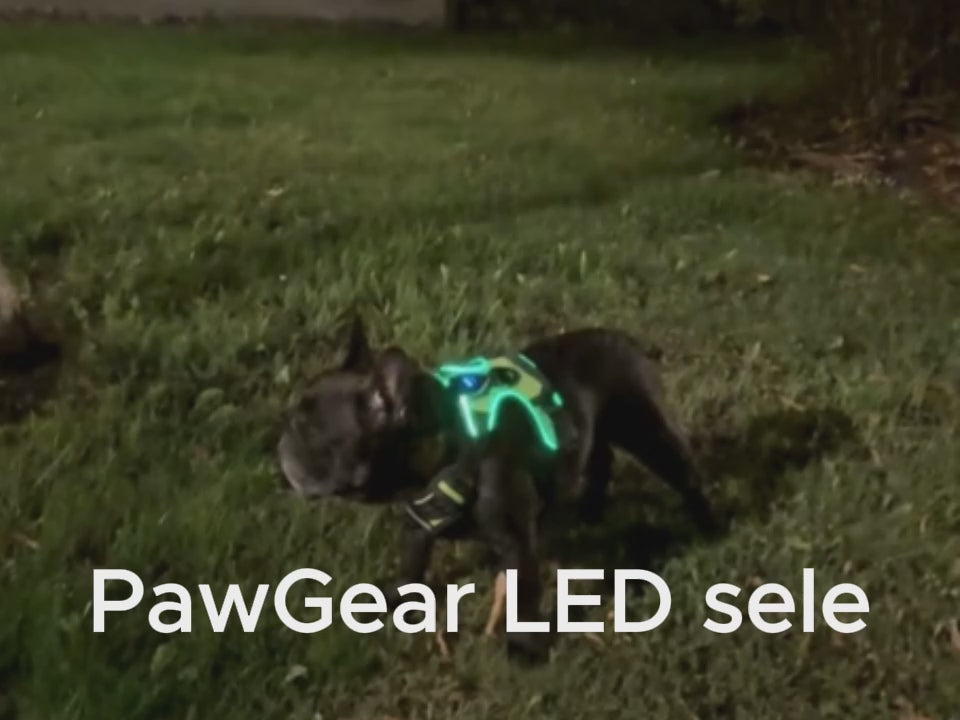 PawGear LED Ljus -Lysande hundsele